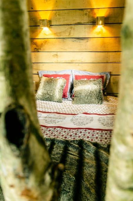 Attre La Cabane Du Cerf Et Son Sauna מראה חיצוני תמונה